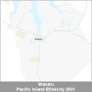 Ethnicity Waiuku Pacific ProductImage 2001