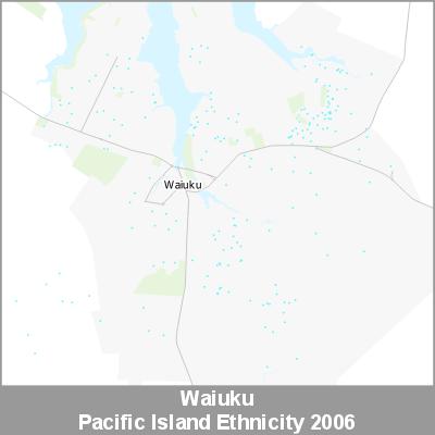 Ethnicity Waiuku Pacific ProductImage 2006