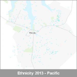 Ethnicity Waiuku Pacific ProductImage 2013