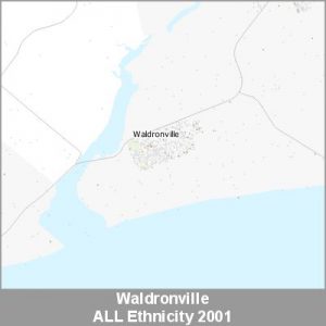 Ethnicity Waldronville ALL ProductImage 2001