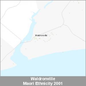 Ethnicity Waldronville Maori ProductImage 2001