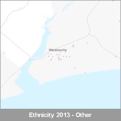 Ethnicity Waldronville Other ProductImage 2013