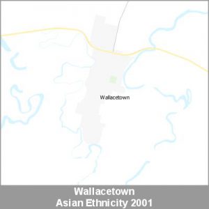 Ethnicity Wallacetown Asian ProductImage 2001