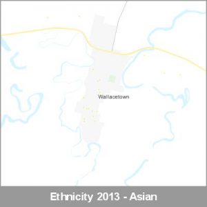 Ethnicity Wallacetown Asian ProductImage 2013