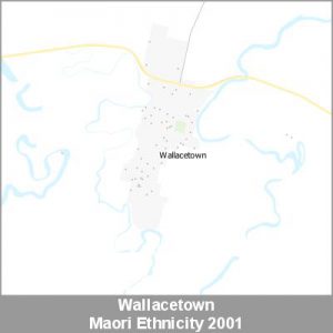 Ethnicity Wallacetown Maori ProductImage 2001