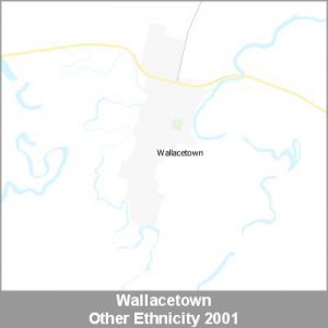 Ethnicity Wallacetown Other ProductImage 2001