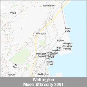 Ethnicity Wellington Maori ProductImage 2001