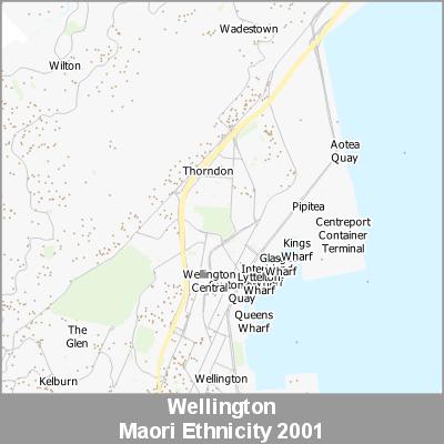 Ethnicity Wellington Maori ProductImage 2001