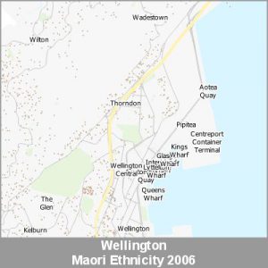 Ethnicity Wellington Maori ProductImage 2006