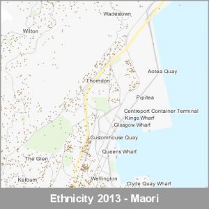 Ethnicity Wellington Maori ProductImage 2013