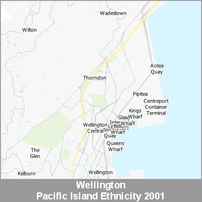 Ethnicity Wellington Pacific ProductImage 2001