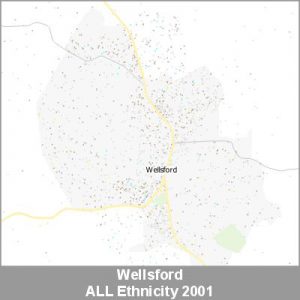 Ethnicity Wellsford ALL ProductImage 2001