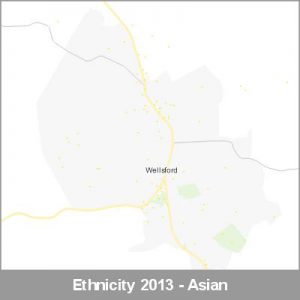 Ethnicity Wellsford Asian ProductImage 2013