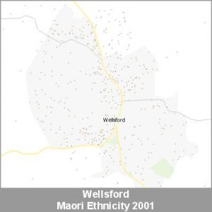 Ethnicity Wellsford Maori ProductImage 2001