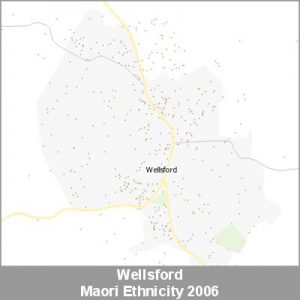 Ethnicity Wellsford Maori ProductImage 2006