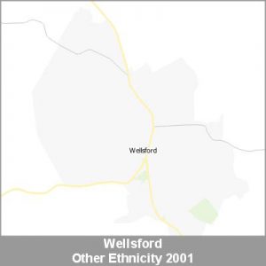 Ethnicity Wellsford Other ProductImage 2001