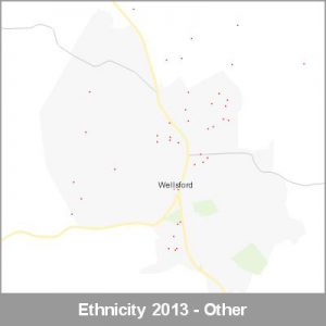 Ethnicity Wellsford Other ProductImage 2013