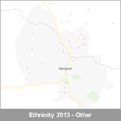 Ethnicity Wellsford Other ProductImage 2013