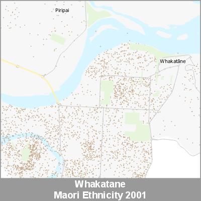 Ethnicity Whakatane Maori ProductImage 2001
