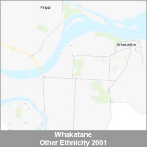 Ethnicity Whakatane Other ProductImage 2001