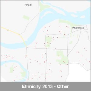 Ethnicity Whakatane Other ProductImage 2013