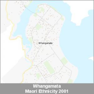 Ethnicity Whangamata Maori ProductImage 2001