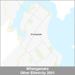 Ethnicity Whangamata Other ProductImage 2001
