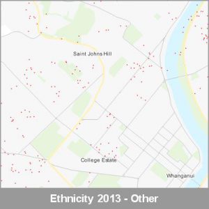 Ethnicity Whanganui Other ProductImage 2013