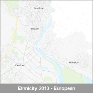 Ethnicity Whangarei European ProductImage 2013