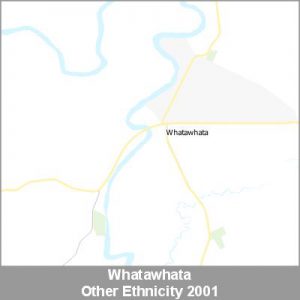 Ethnicity Whatawhata Other ProductImage 2001