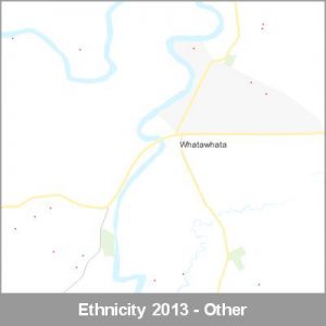 Ethnicity Whatawhata Other ProductImage 2013