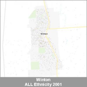 Ethnicity Winton ALL ProductImage 2001
