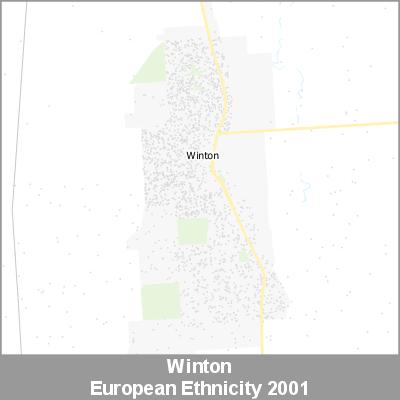 Ethnicity Winton European ProductImage 2001