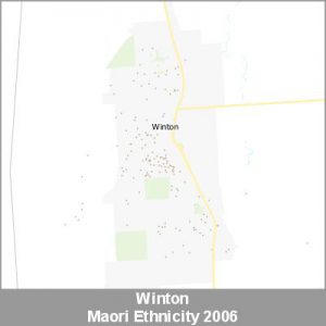 Ethnicity Winton Maori ProductImage 2006