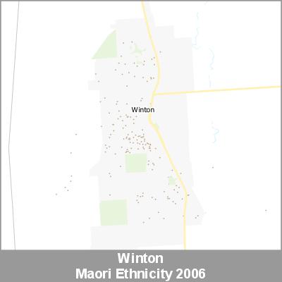 Ethnicity Winton Maori ProductImage 2006