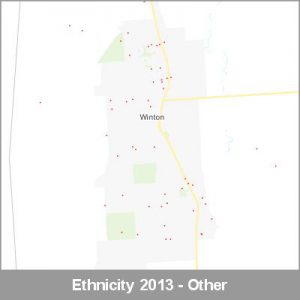 Ethnicity Winton Other ProductImage 2013