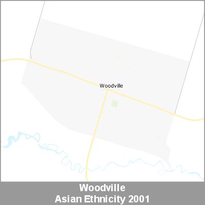 Ethnicity Woodville Asian ProductImage 2001