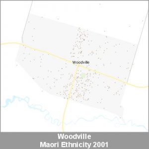 Ethnicity Woodville Maori ProductImage 2001