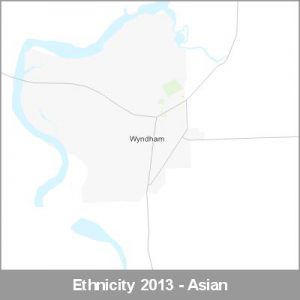 Ethnicity Wyndham Asian ProductImage 2013