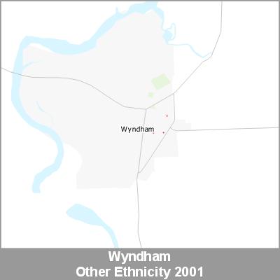 Ethnicity Wyndham Other ProductImage 2001