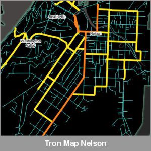 Tron Nelson ProductImage 2020